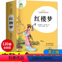 红楼梦 1040页 [正版]爱德教育 青少版经典名著书库 红楼梦 完整本 小学生青少年版课外书 三四五六年级精讲细评考点