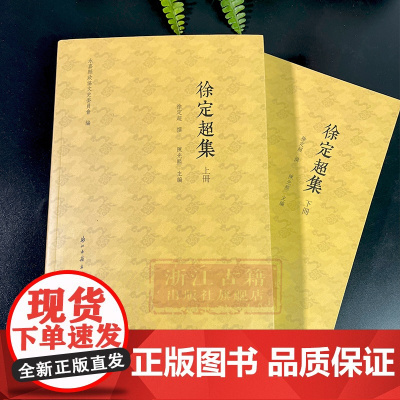 徐定超集(上下2册)清代温州名人徐定超文集 繁体版 中国古典散文随笔作品集 历史人物传记资料学术研究资料艺术理论 正版