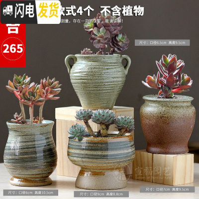 三维工匠多肉花盆陶瓷大号小老桩粗陶透气创意个性肉肉植物盆 款式21-组合265 大花盆容器
