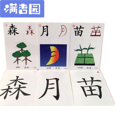 舒弗（LACHOUFFE)宝宝识字卡片看图认字学生字0-3-6岁幼儿童有图象形全套
