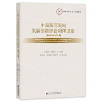 [N]中国黄河流域发展指数综合测评报告(2012-2021)/学者系列/中原智库丛书-9787522825007