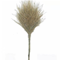 华敏 扫帚 一体 把