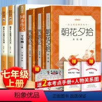 全7册:西游记+朝花夕拾+字帖+作文+古诗文+文言文 [正版]送考题册西游记朝花夕拾鲁迅原著初中生必背古诗词文言文中学生