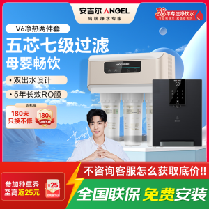 安吉尔净水器家用直饮V6 净饮机 1.46升/分钟净水机J2605-ROB60(A8)+Y3611管线机两件套