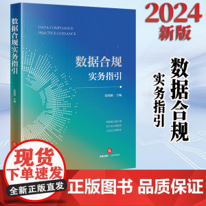 2024新书 数据合规实务指引 朱晓娟主编 法律出版社