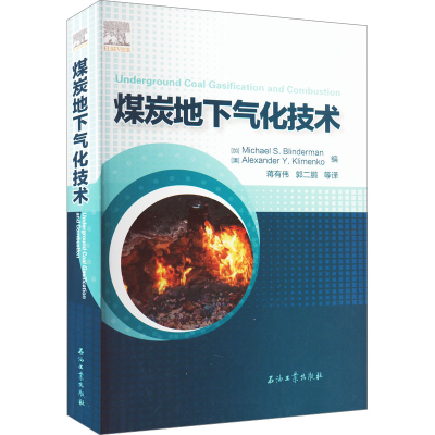 [M]煤炭地下气化技术-9787518346455