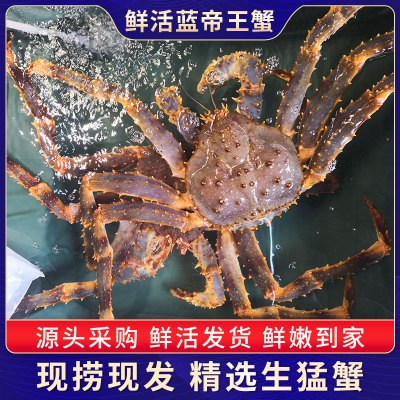 帝王蟹价格 帝王蟹最新报价 帝王蟹多少钱 苏宁易购