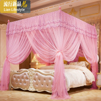 蚊帐三开加粗支架1.5m床宫廷1.8m公主风加密落地式蚊帐家用双人 三维工匠