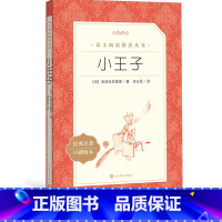 [正版]小王子圣埃克苏佩里著李玉民六年级分级阅读书目 语文阅读丛书中小学语文人民文学出版社