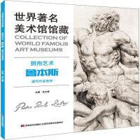 正版新书]世界著名美术馆馆藏 拥抱艺术 鲁本斯速写作品赏析张文