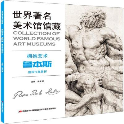 正版新书]世界著名美术馆馆藏 拥抱艺术 鲁本斯速写作品赏析张文