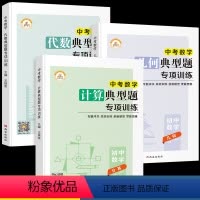 [中考]计算+几何+代数典型题全套3册 九年级/初中三年级 [正版]初三数学中考专题训练 九年级上册下册计算几何代数典型