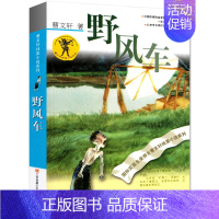 [正版]野风车 书 曹文轩纯美小说系列青少年版儿童文学 三四五六年级小学生课外阅读必读书籍 江苏凤凰少年儿童出版社 含甜