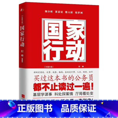 国家行动 [正版]·国家行动 程琳著 张译主演同名电视剧原著小说长篇反腐刑侦 人民的名义天局同类