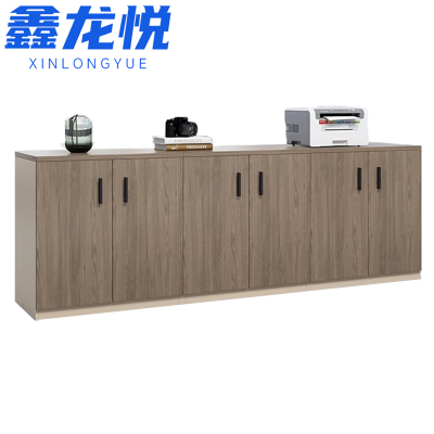 鑫龙悦资料柜六门台