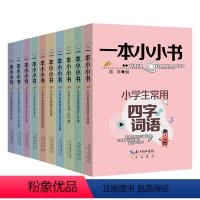 一本小小书10册 小学通用 [正版]王芳一本小小书系列全套10册 1-6年级知识点大全古文多音字近义词俗语文学常识英语词