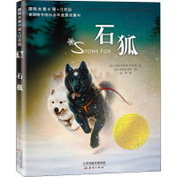 钢琴小精灵(注音版) 国际大奖小说 7-12-15岁成长励志小说 中小学生课外阅读物