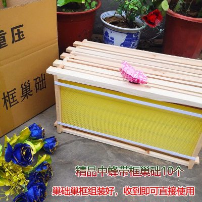 定制木巢框成品巢础框带装好巢础中蜂意蜂巢脾巢皮10个装