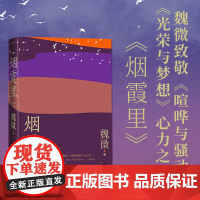 烟霞里 魏微 [第十一届茅盾文学奖获奖作品] 鲁迅文学奖全新长