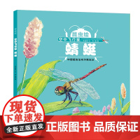 空中飞行家:蜻蜓