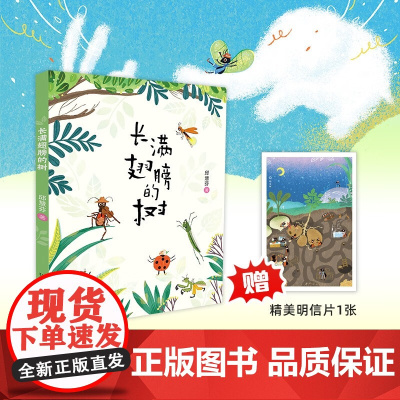 长满翅膀的树 6-9岁 邱慧芬 著 儿童文学