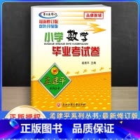 [正版]2023新版孟建平小升初数学人教版小学毕业升学考试模拟试卷小学毕业考试卷数学专项训练小升初毕业总复习真题卷练习
