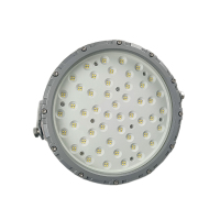 鼎晟丰(DSF) DSFG-911 AC110-240V 70W IP66 LED泛光灯 (计价单位:个) 灰色