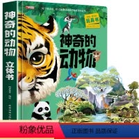 神奇的动物3D立体书 [正版]神奇的动物立体书儿童3d立体书翻翻书6-7-8-10岁以上宝宝绘本故事书图书籍小学生一二年