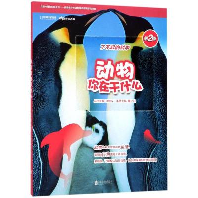 正版新书]动物你在干什么董子凡9787559610348