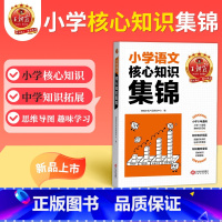 语文 小学通用 [正版]小升初大集结考点初中衔接核心知识集锦语文基础知识大盘点一二三四五六年级小学知识大全手册人教版考试