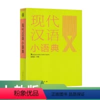 [正版]现代汉语小语典