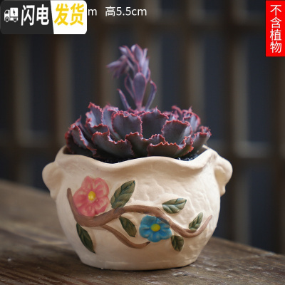 三维工匠可画画上色彩多肉小花盆陶瓷粗陶透气创意肉肉植物盆 深紫色图片款[1个装] 中等花盆容器