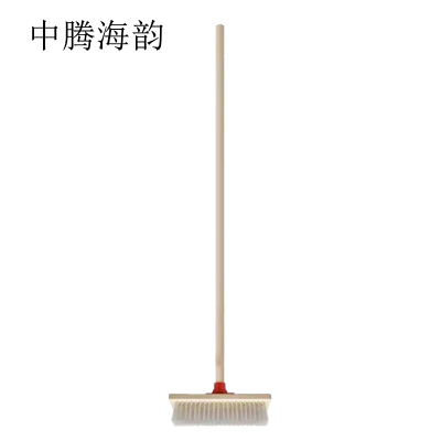 中腾海韵 地刷 80cm 个