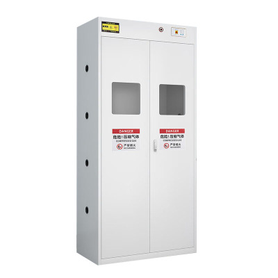 戴劲 气瓶柜防爆柜易燃气体存储柜易爆气体存放柜安全柜 双瓶二代