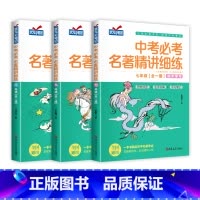 [全3册]中考必考名著精讲细练 初中通用 [正版]名著导读考点精练初中生必读名著导读与考点同步解读一本通中考名著考点精练