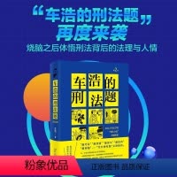 [正版]车浩的刑法题(北京大学法学院刑考题解析第2版)(精) 车浩 刑法中国高等学校习题集 法律书籍