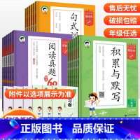 [3册]积累与默写+句式训练大全+阅读真题 一年级上 [正版]2023秋新版53小学基础练句式训练大全阅读真题60篇