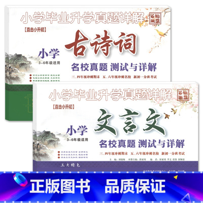 [2册]古诗词+文言文 小学升初中 [正版]2023小升初小学毕业升学真题详解古诗词文言文阅读与理解积累与运用3-6三四