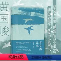 [正版] 盲目地注视 黄国峻用说书人的笔法 继《度外》后 黄国峻台湾当代文学小说书籍