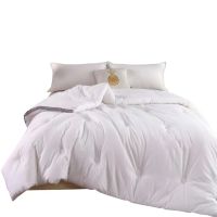 三水依梦 全棉提花阳绒被 220*240cm 条