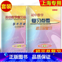 初中数学复习点要+参考答案 初中通用 [正版]2024修订本 初中数学复习点要 初三中考总复习 书+答案 基础知识+双基