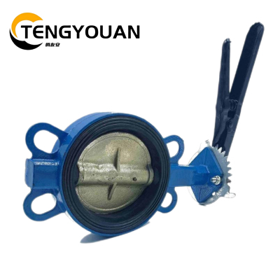 腾友安对夹蝶阀DN65/个