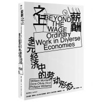 [N]薪酬之上(多元经济中的劳动形态)-9787500880127