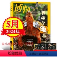 [正版]乌龟专题博物杂志2024年5月 中国国家地理青春少年版中小学生科普百科大全非过刊单本