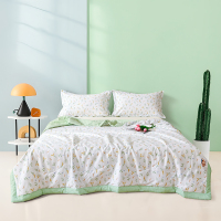 雅鹿抑菌全棉印花夏被