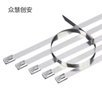 众慧创安 不锈钢扎带 4.6*300mm 个