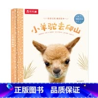 小羊驼去爬山 [正版]F甜甜圈粉丝专享 绘本0-3岁睡前早教书籍幼儿1-2-6岁宝宝幼儿园学前亲亲宝贝小兔子爱冒险儿童阅