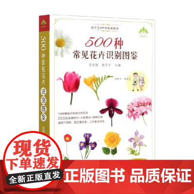 500种常见花卉识别图鉴 张彦妮 著 青春文学