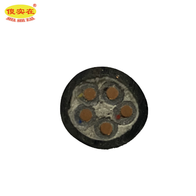 傻实在 电缆 国标全项保检 YJV 5*2.5mm² 米