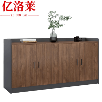 亿洛莱 文件柜 160*40*80cm 个